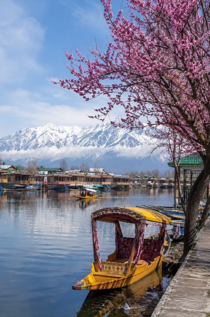 Magical Kashmir