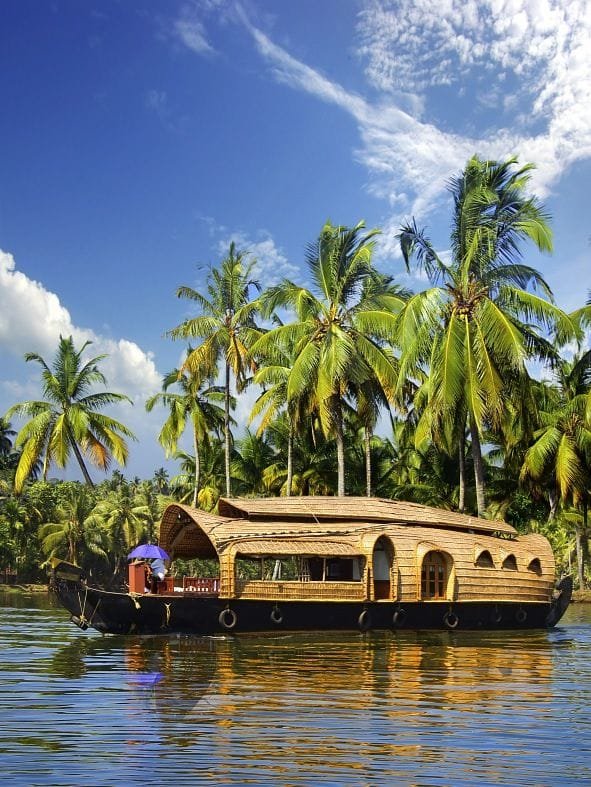 Kerala Delight
