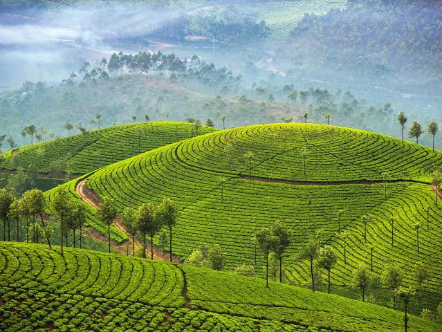Enchanting Kerala gallery 2