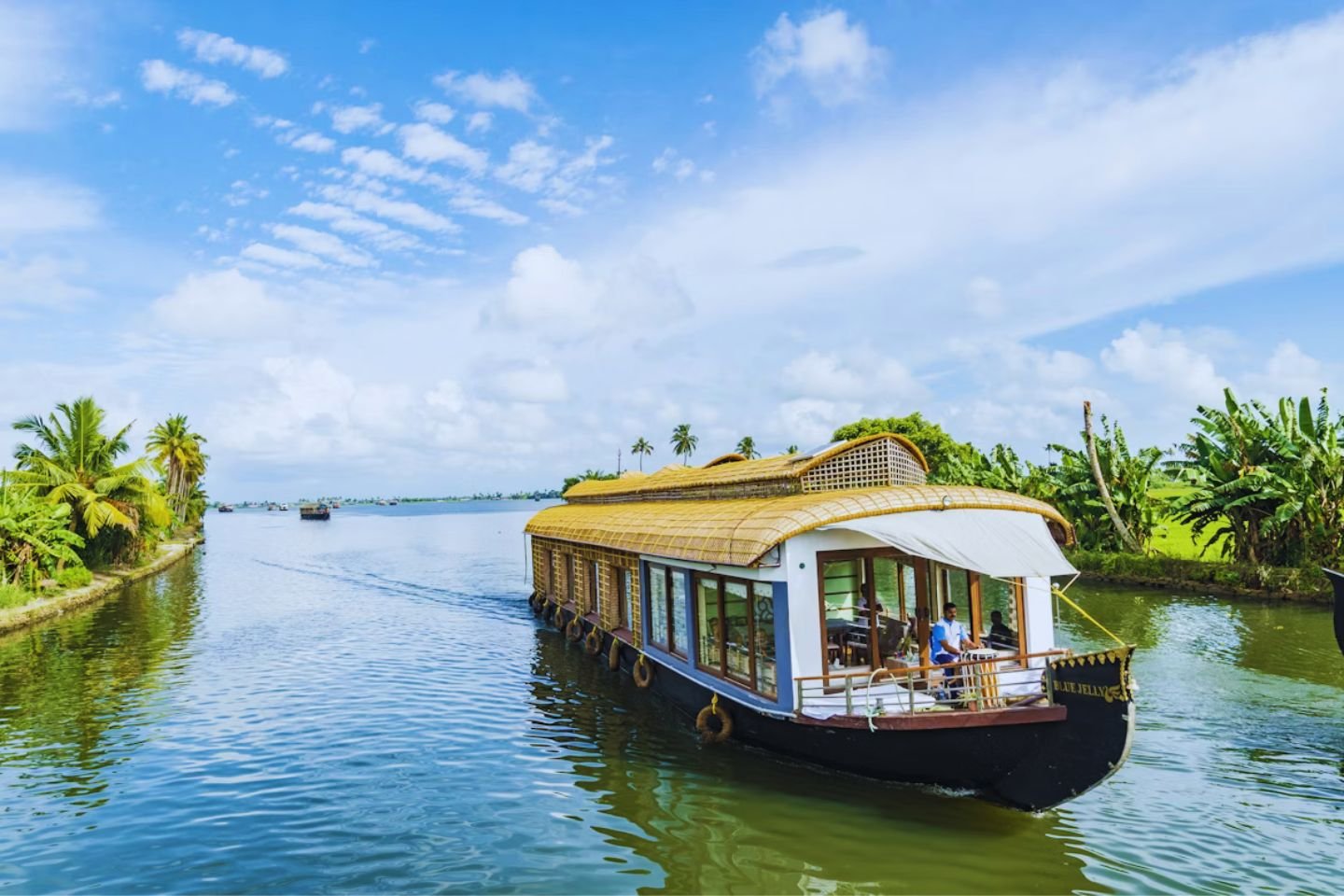 Kerala Delight gallery 3