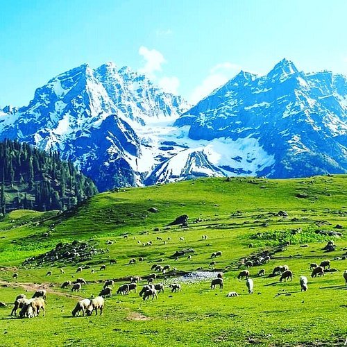 Kashmir Ultimate