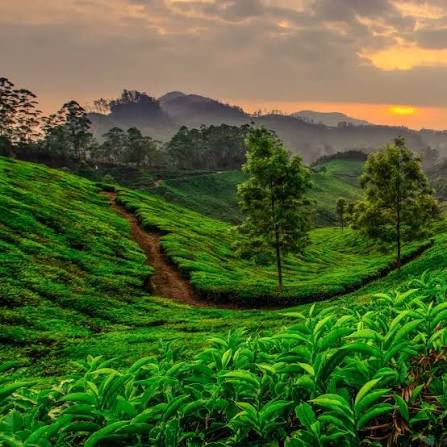 Kerala Escape gallery 3
