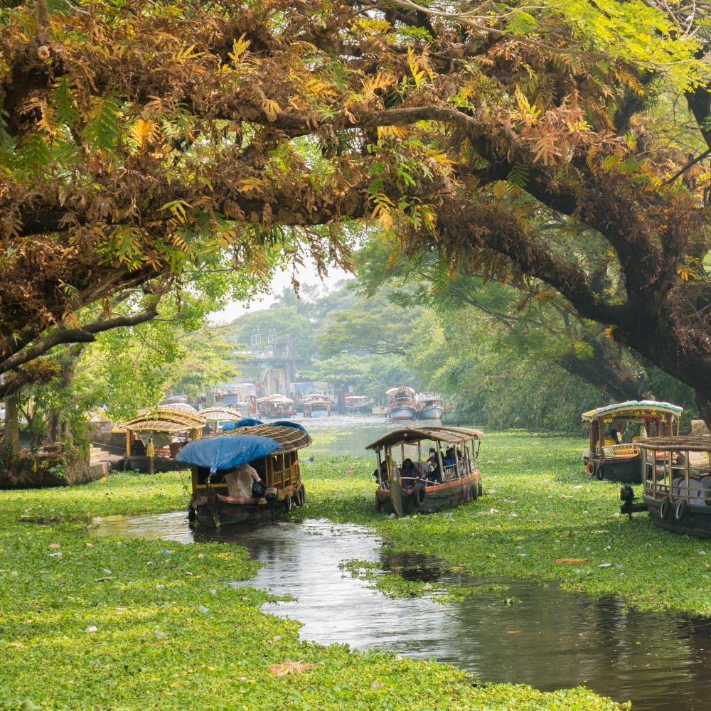 Kerala Explorer gallery 2